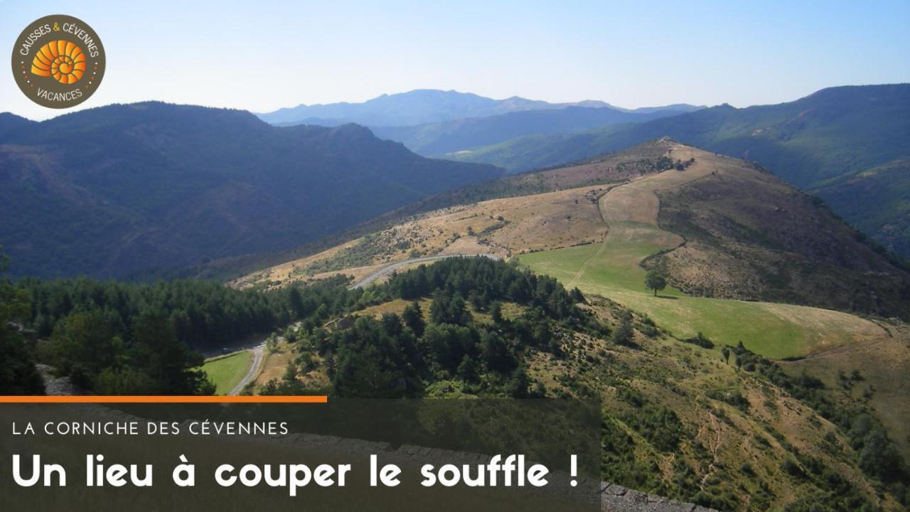 Alberguiere - Piscine Chauffee - Plancha - Barbecue Sainte-Croix-Vallee-Francaise Kültér fotó